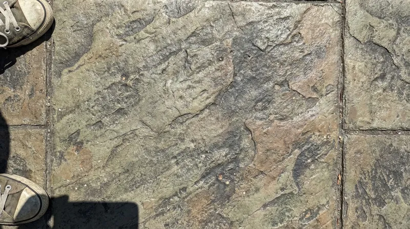 Close-up of stamped concrete pattern, texture and color detail